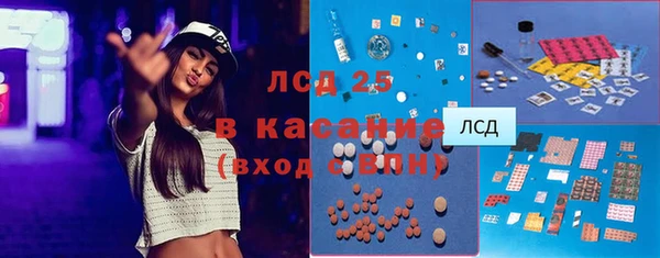 хмурый Арсеньев