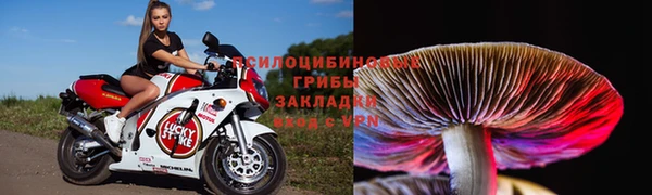 хмурый Арсеньев