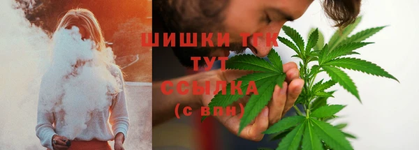 хмурый Арсеньев