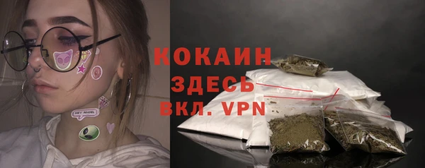 хмурый Арсеньев