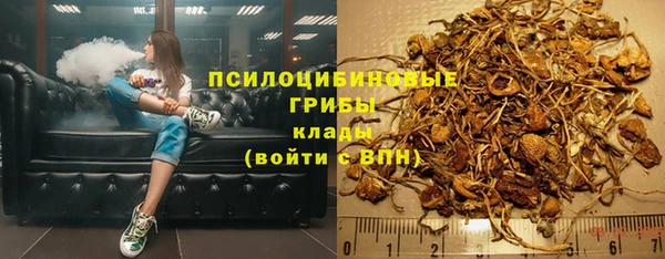 хмурый Арсеньев