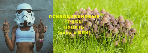 твердый Армянск