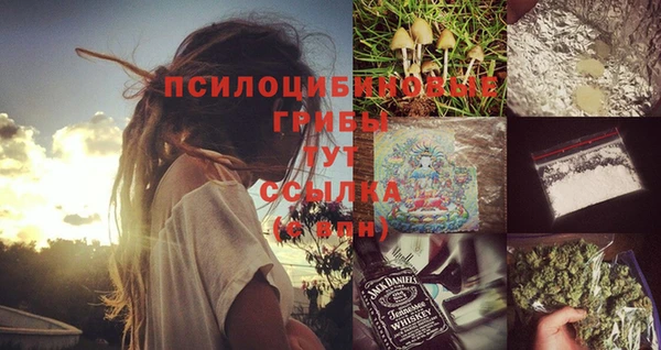 хмурый Арсеньев
